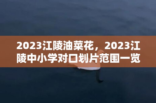 2023江陵油菜花，2023江陵中小学对口划片范围一览