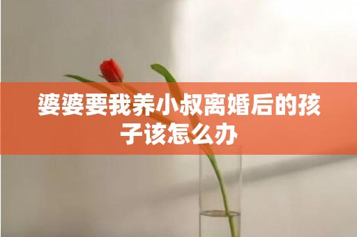 婆婆要我养小叔离婚后的孩子该怎么办