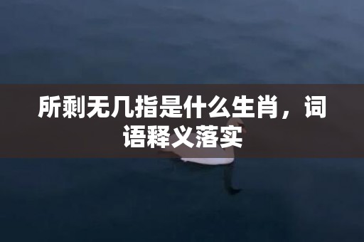 所剩无几指是什么生肖，词语释义落实