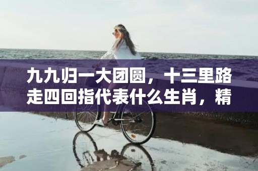 九九归一大团圆，十三里路走四回指代表什么生肖，精选答案落实