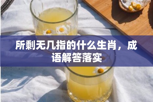 所剩无几指的什么生肖，成语解答落实