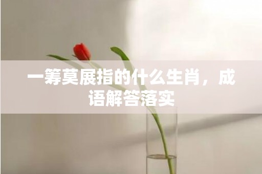 一筹莫展指的什么生肖，成语解答落实