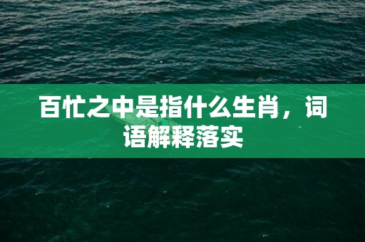 百忙之中是指什么生肖，词语解释落实