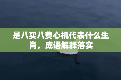 是八买八费心机代表什么生肖，成语解释落实