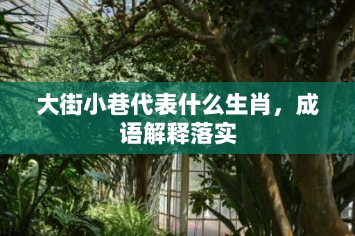 大街小巷代表什么生肖，成语解释落实