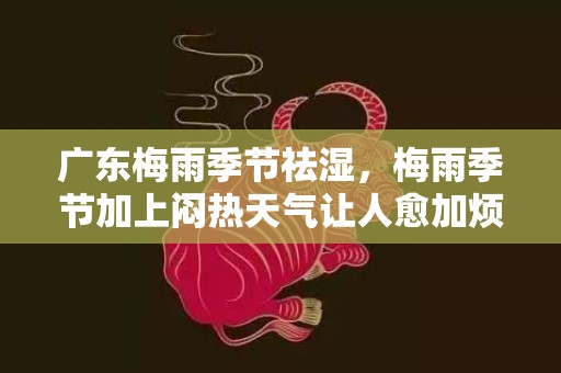 广东梅雨季节祛湿，梅雨季节加上闷热天气让人愈加烦闷不安湿气过重