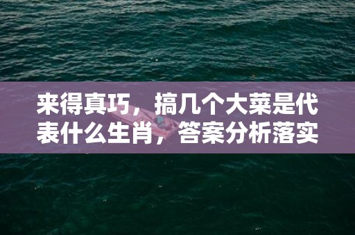 来得真巧，搞几个大菜是代表什么生肖，答案分析落实