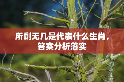 所剩无几是代表什么生肖，答案分析落实