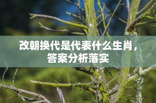 改朝换代是代表什么生肖，答案分析落实