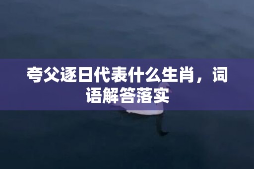 夸父逐日代表什么生肖，词语解答落实