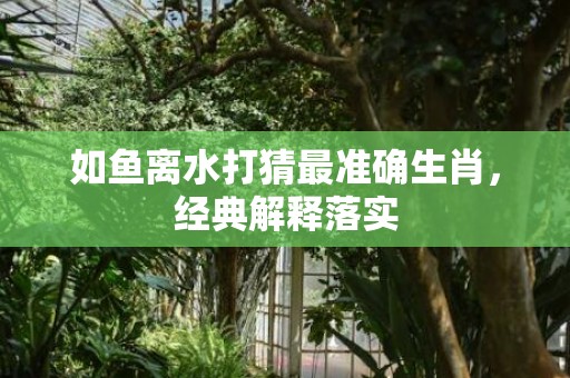 如鱼离水打猜最准确生肖，经典解释落实