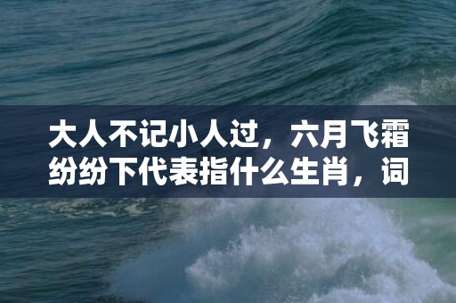 大人不记小人过，六月飞霜纷纷下代表指什么生肖，词语解释落实