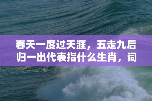 春天一度过天涯，五走九后归一出代表指什么生肖，词语解释落实