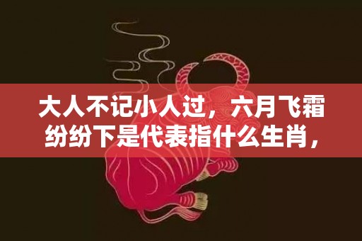 大人不记小人过，六月飞霜纷纷下是代表指什么生肖，精选答案落实