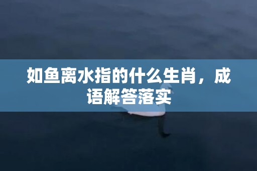 如鱼离水指的什么生肖，成语解答落实