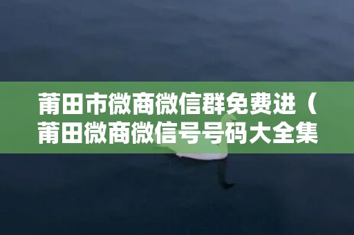 莆田市微商微信群免费进（莆田微商微信号号码大全集）