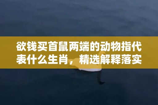 欲钱买首鼠两端的动物指代表什么生肖，精选解释落实