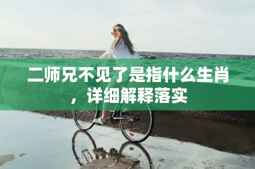 二师兄不见了是指什么生肖，详细解释落实