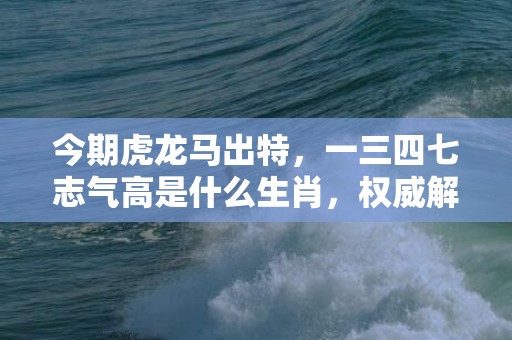 今期虎龙马出特，一三四七志气高是什么生肖，权威解释落实