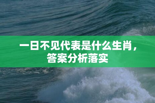 一日不见代表是什么生肖，答案分析落实