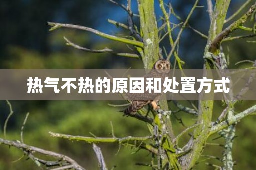 热气不热的原因和处置方式