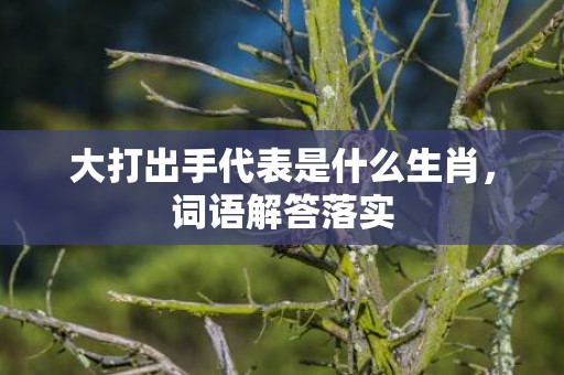 大打出手代表是什么生肖，词语解答落实