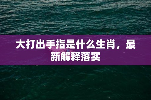 大打出手指是什么生肖，最新解释落实