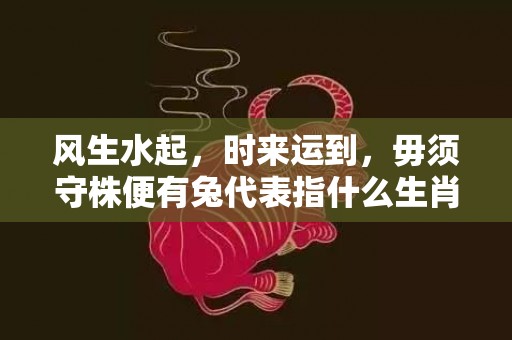 风生水起，时来运到，毋须守株便有兔代表指什么生肖，词语解释落实