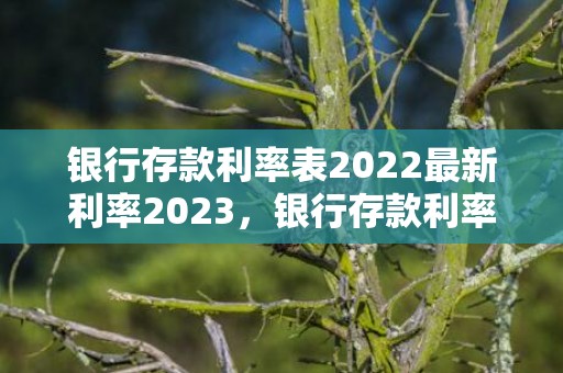 银行存款利率表2022最新利率2023，银行存款利率表2023最新利率