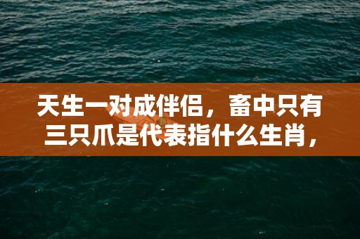 天生一对成伴侣，畜中只有三只爪是代表指什么生肖，精选答案落实