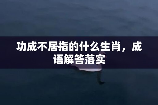 功成不居指的什么生肖，成语解答落实