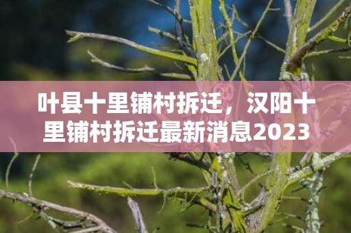 叶县十里铺村拆迁，汉阳十里铺村拆迁最新消息2023