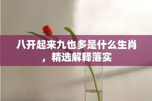 八开起来九也多是什么生肖，精选解释落实