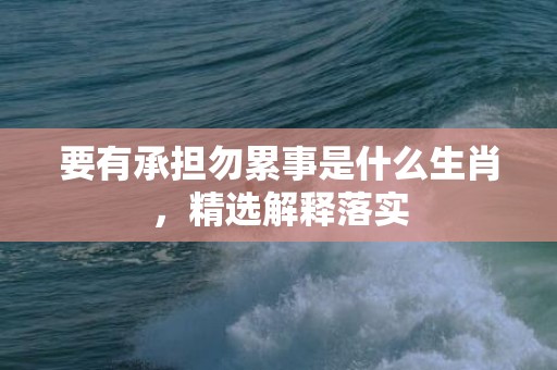 要有承担勿累事是什么生肖，精选解释落实