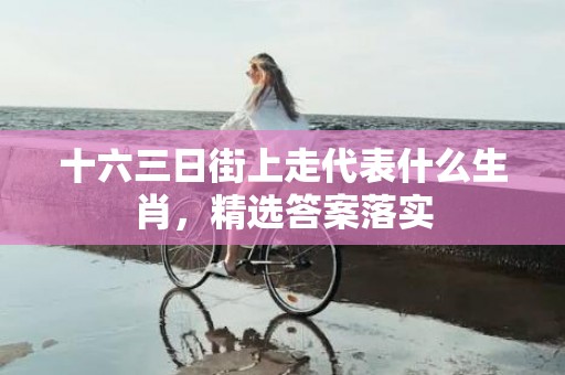 十六三日街上走代表什么生肖，精选答案落实