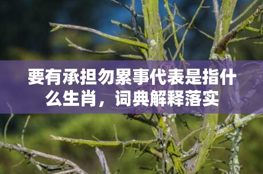 要有承担勿累事代表是指什么生肖，词典解释落实