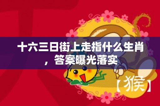 十六三日街上走指什么生肖，答案曝光落实