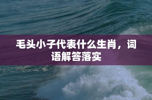 毛头小子代表什么生肖，词语解答落实