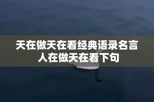 天在做天在看经典语录名言 人在做天在看下句