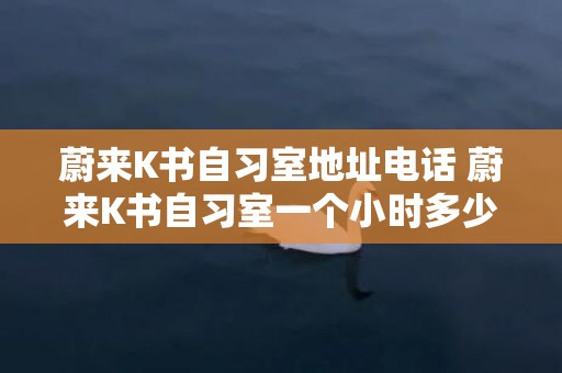 蔚来K书自习室地址电话 蔚来K书自习室一个小时多少钱