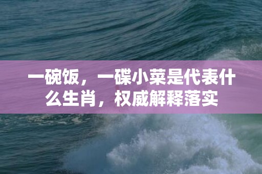 一碗饭，一碟小菜是代表什么生肖，权威解释落实