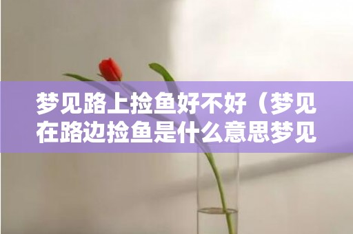 梦见路上捡鱼好不好（梦见在路边捡鱼是什么意思梦见在路上捡鱼是什么预兆）