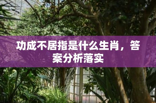 功成不居指是什么生肖，答案分析落实