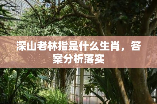 深山老林指是什么生肖，答案分析落实