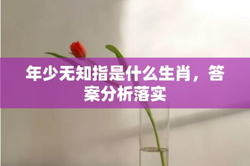 年少无知指是什么生肖，答案分析落实