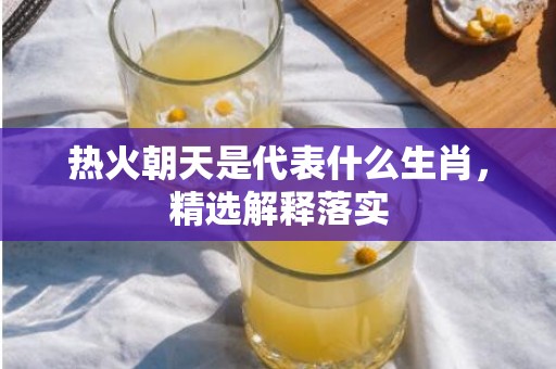 热火朝天是代表什么生肖，精选解释落实