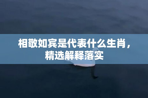 相敬如宾是代表什么生肖，精选解释落实