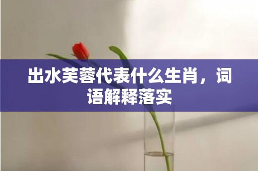 出水芙蓉代表什么生肖，词语解释落实