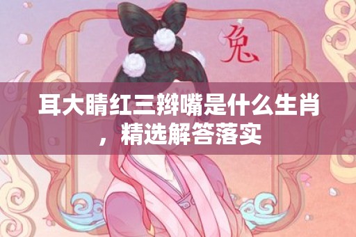 耳大睛红三辫嘴是什么生肖，精选解答落实