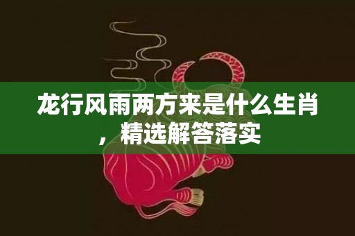 龙行风雨两方来是什么生肖，精选解答落实